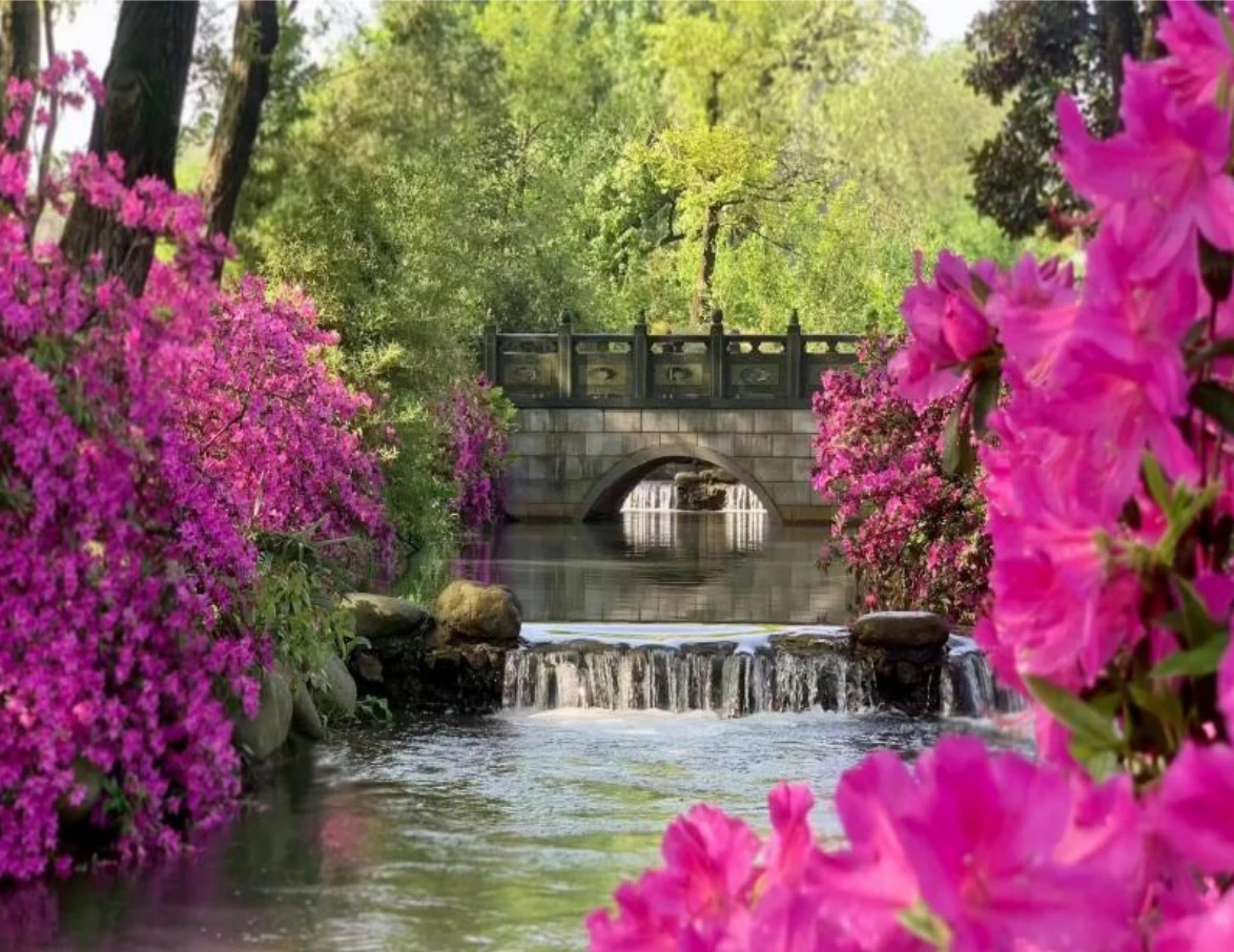 花溪石桥 · 园林水景